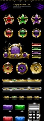 Luxury web button shiny vector Luxury web button shiny vector