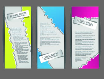Brochures and flyers abstract cover vector 01