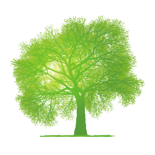 vector graphics vector graphic tree green creative 
