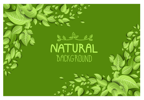 natural eco beautiful background vector background 