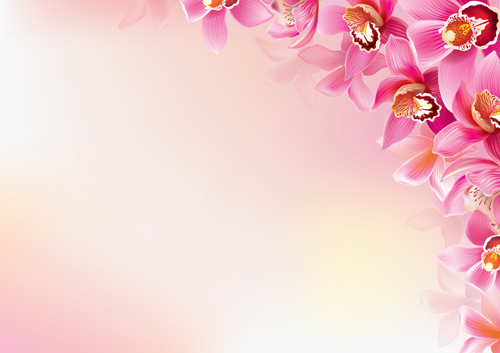 orchids elegant background 