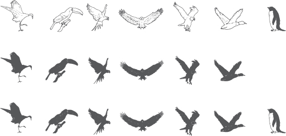 sketch hand drawn design birds 