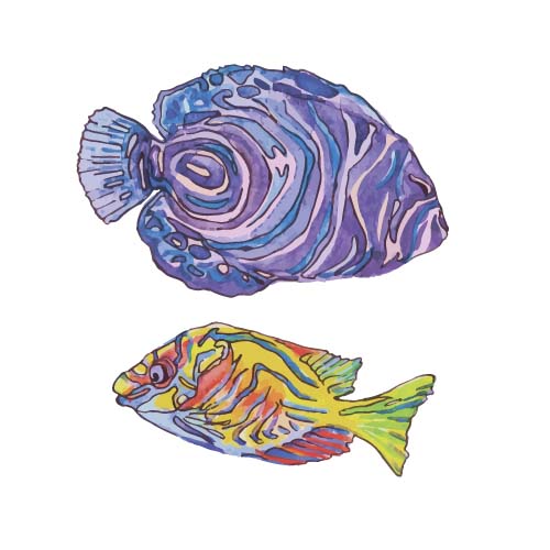 watercolor marine hand drawn fish 