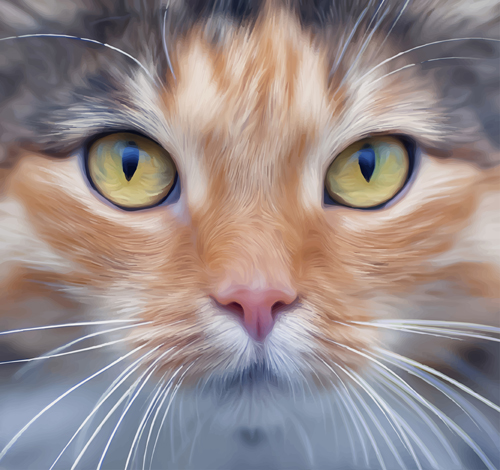 Realistic cat face design vector