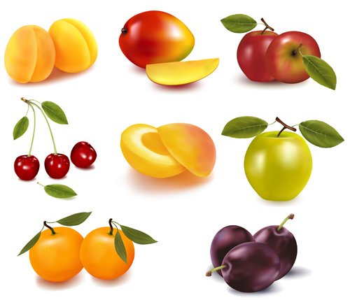 vector material realistic icons icon fruits fruit 