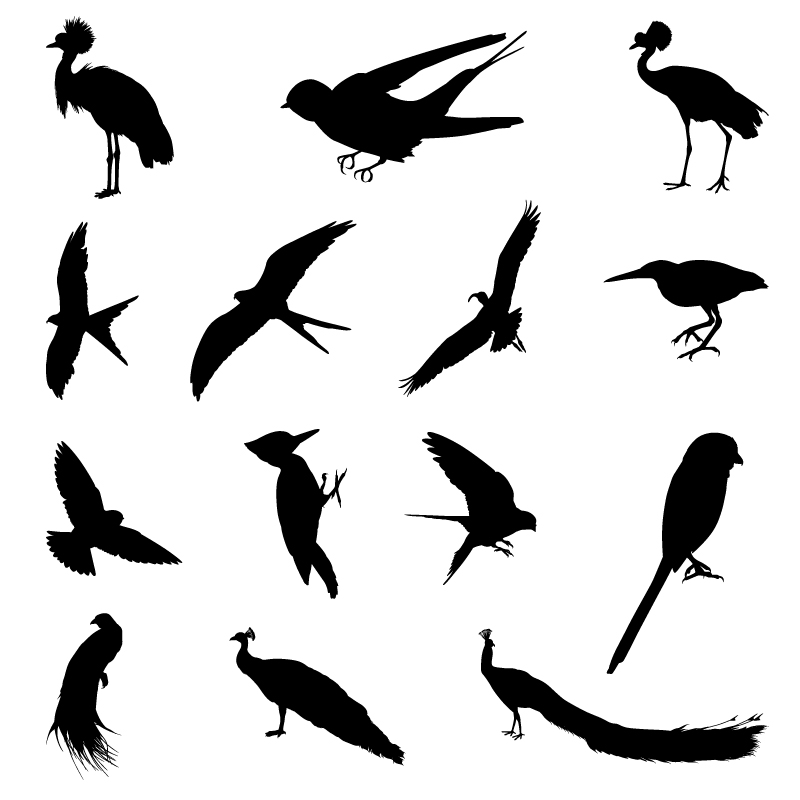 ious birds silhouettes vector set 01 Various birds silhouettes vector set 01
