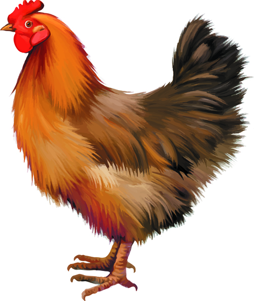 Vector set Realistic animal design material 04
