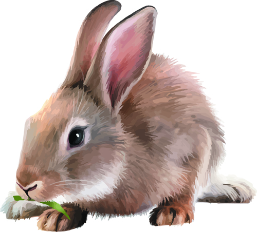 Vector set Realistic animal design material 05