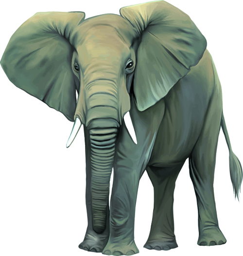 Vector set Realistic animal design material 06