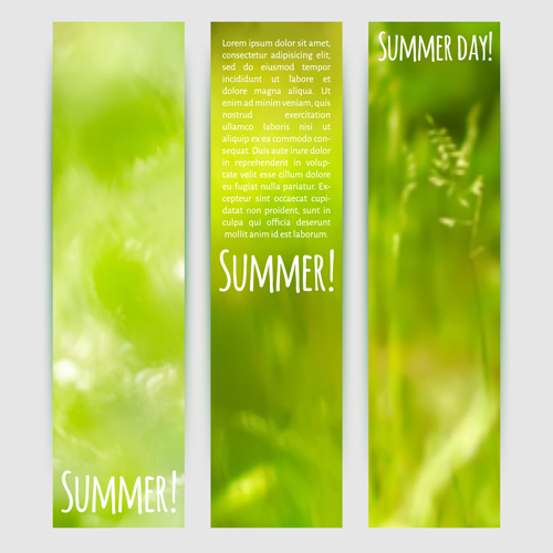 summer green blurred banner 