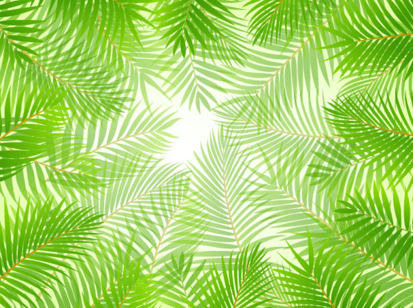 tropical leaf Green Leaf green elements element 