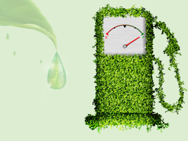 Elements of ecology green template vector set 05