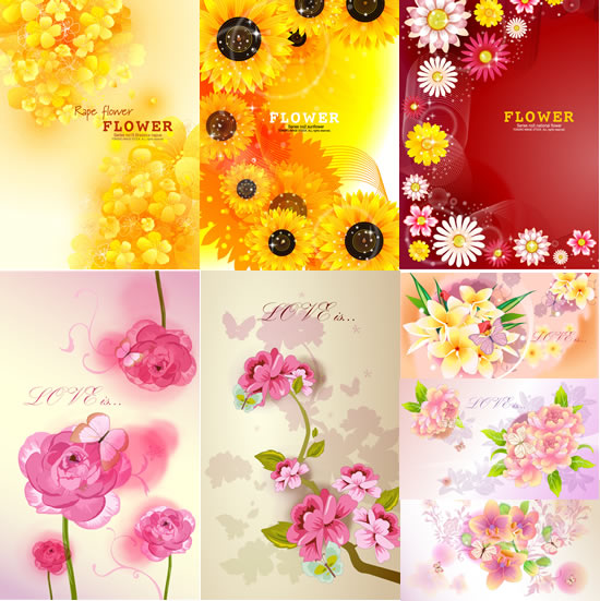 Sunflower chrysanthemum background Lily pictures flowers AI free download background 