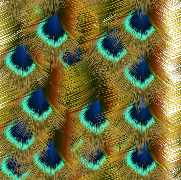 peacock feathers beautiful background 