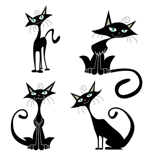 funny cat black 