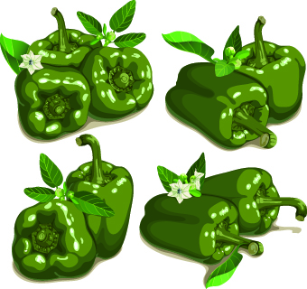 Chili vector 02