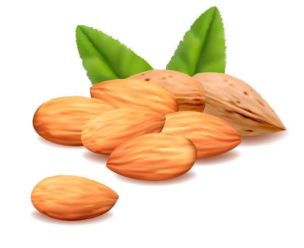 delicious almonds 