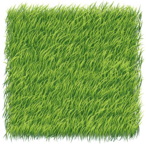 green grass green background 