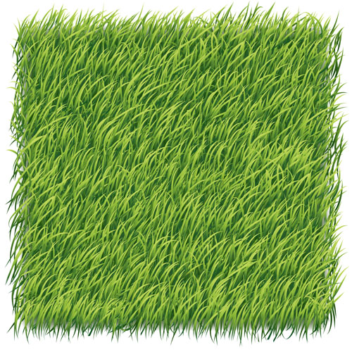 Green grass art backgrounds vector