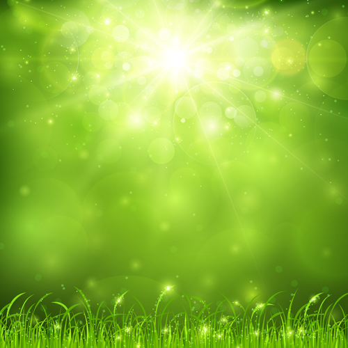 sunlight spring nature green background vector background 