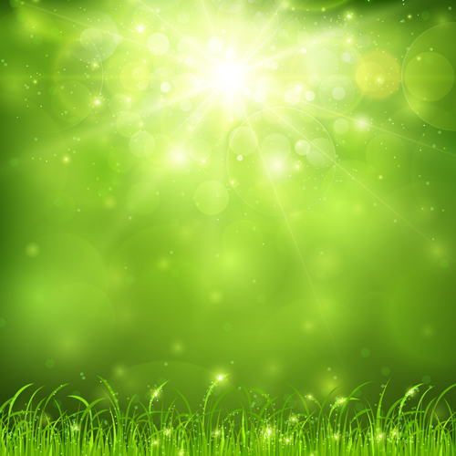 Green nature and sunlight background vector