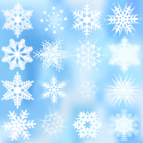 snowflakes snowflake pattern different 