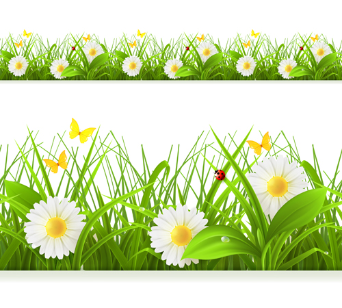 spring grass flower background 