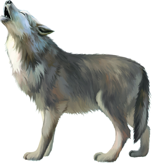 Vector set Realistic animal design material 10