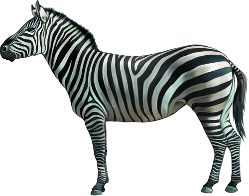 Vector set Realistic animal design material 11