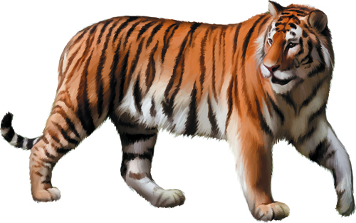 Vector set Realistic animal design material 12
