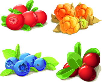 vivid food Berry 
