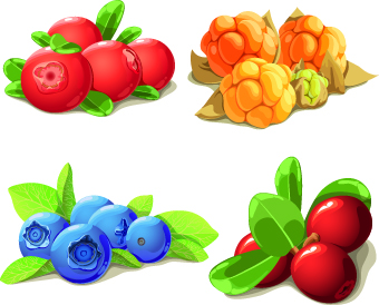 Vivid berry design vector