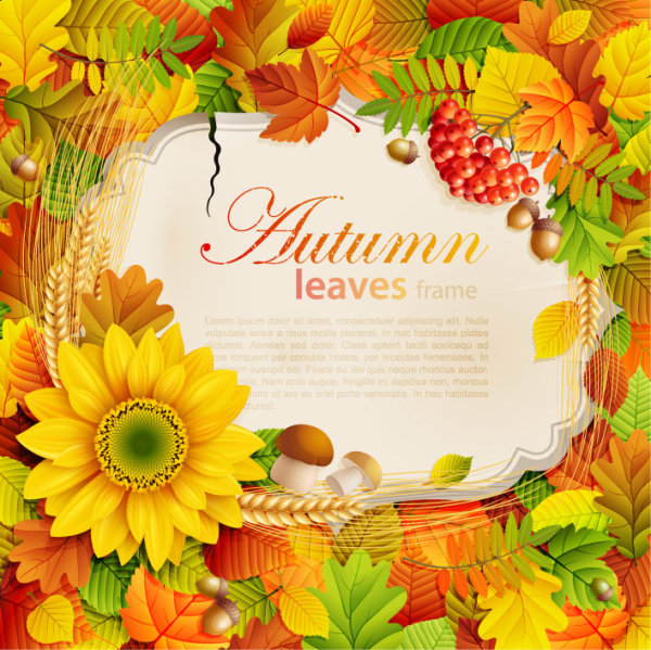 Flowers & Leaf vector Photo Frame 07