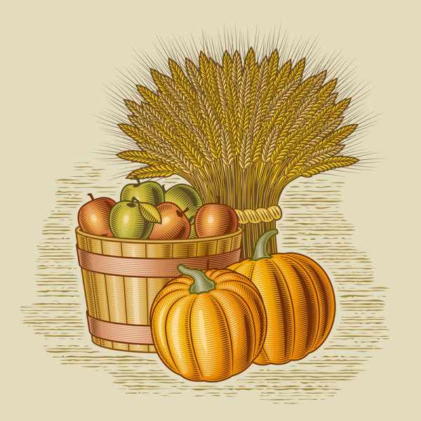 season harvest cartoon 