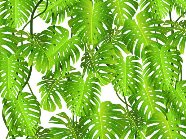 tropical Green Leaf green elements element 