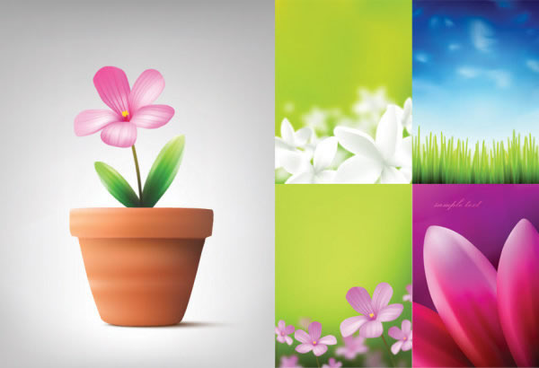 Cute cartoon bonsai Vector graphic