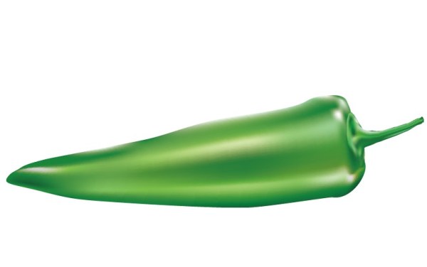 vector green chili 