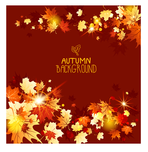 leaf background leaf Backgrounds background autumn 