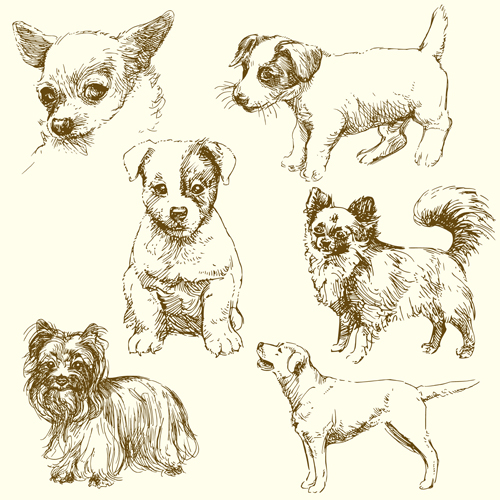 Cute dog drawn vector