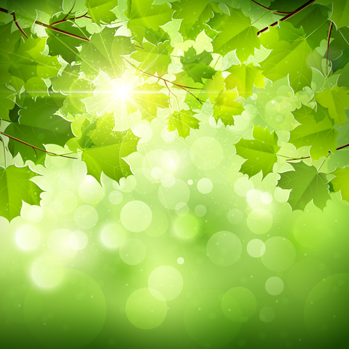 Sunlight and green leaf nature background 01