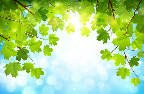 Sunlight and green leaf nature background 02