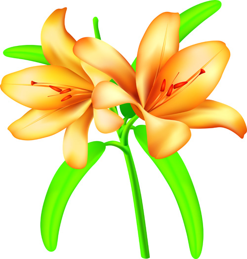 Vector Background with flowers design elements 05