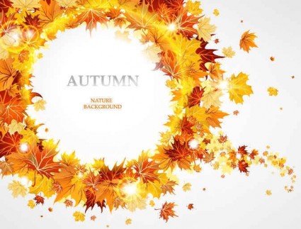 Fashion maple leaf background vectors 02