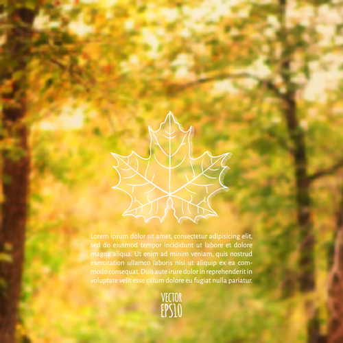 outline leaf blurred background vector autumn 