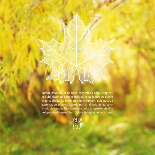 outline leaf blurred background vector background 