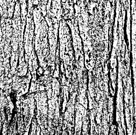Black textures grunge background vector 02