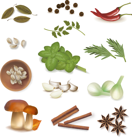 Set of Different Spice design vector 01