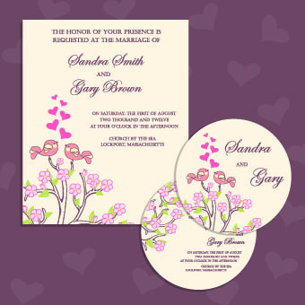 Wedding invitation with dvd kit design vector 04