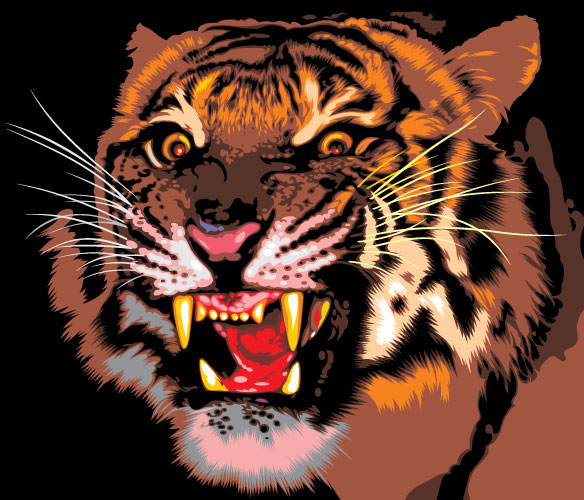 Set of Tiger vector picture art 09