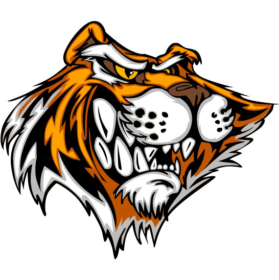 Set of Tiger vector picture art 21